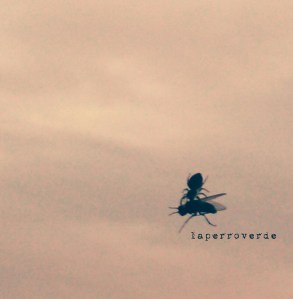 cambiemos_nuestras_precariedades_laperroverde