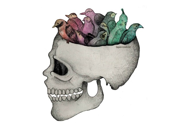 pajaros_laperroverde